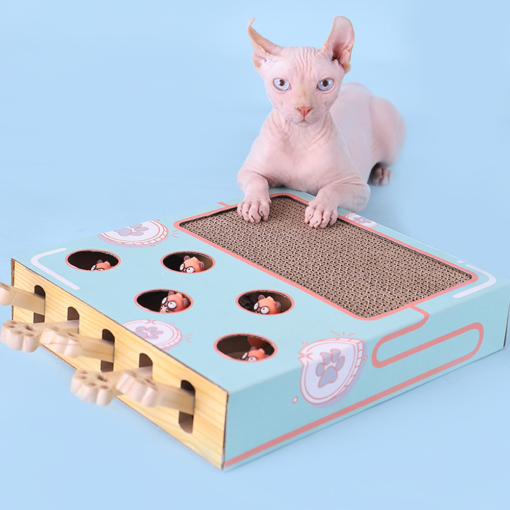 Dog Treat Puzzle Toy - Cat Game Box Maze Interactive Educational