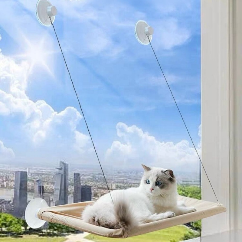 Cat Window Hammock With Strong - Cat Window Perch review and price