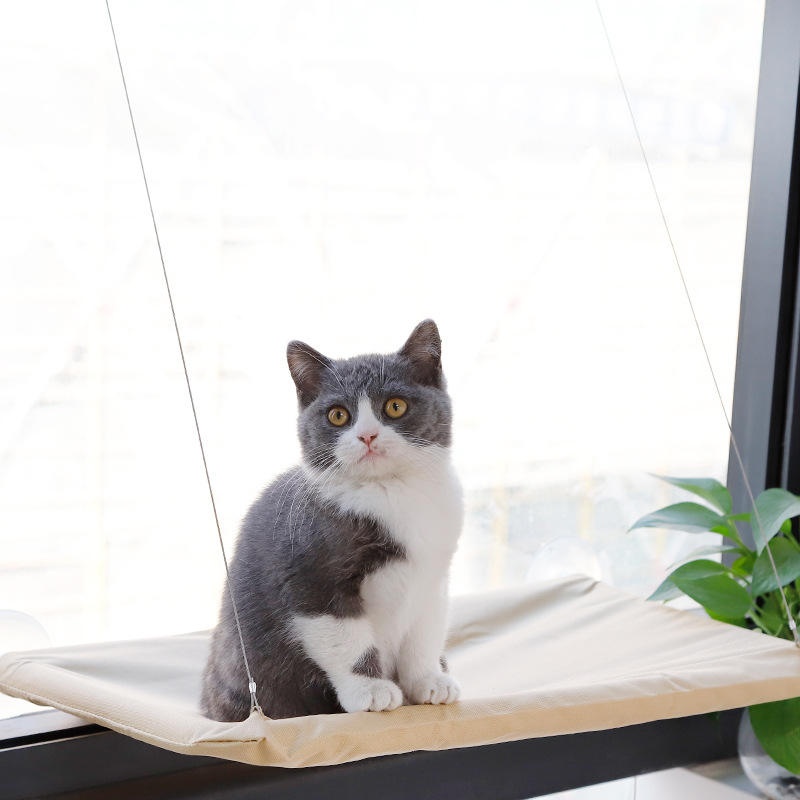Cat Window Hammock With Strong - Cat Window Perch review and price