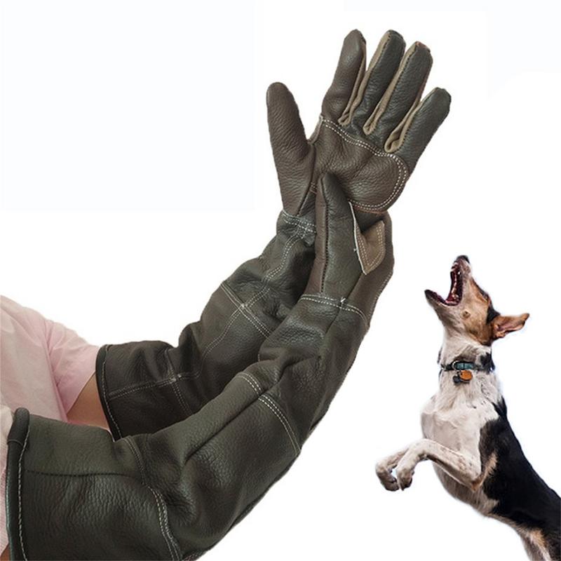 Pet Gloves Cowhide Leather Ant - Pet Grooming Glove review and price