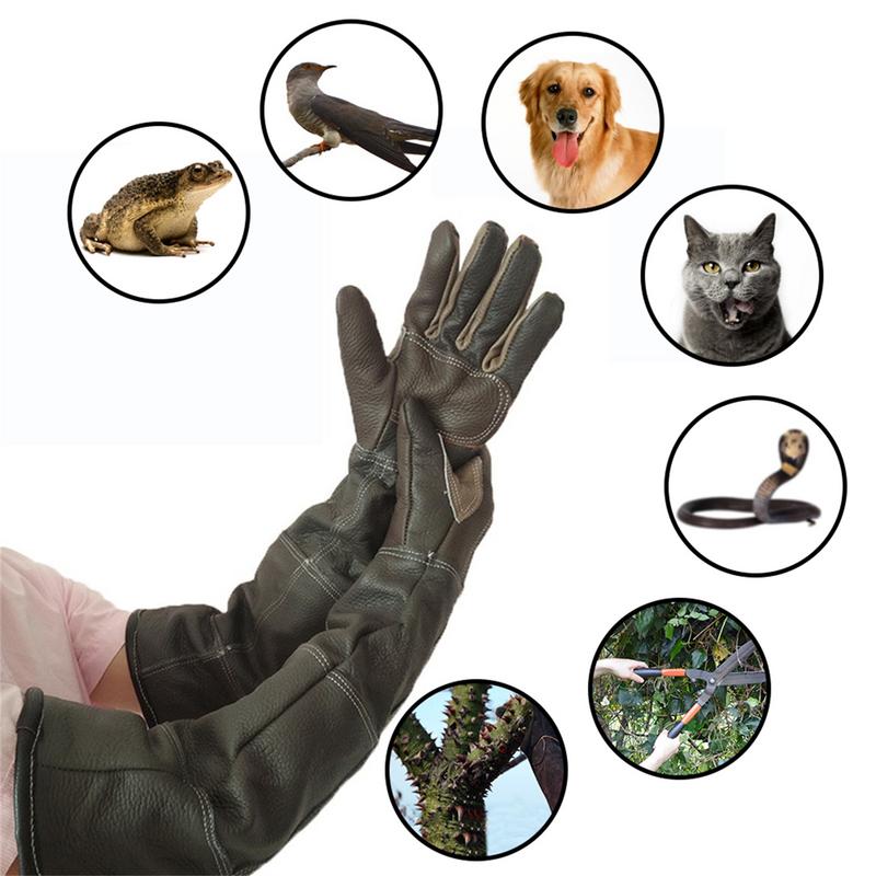 Pet Gloves Cowhide Leather Ant - Pet Grooming Glove review and price