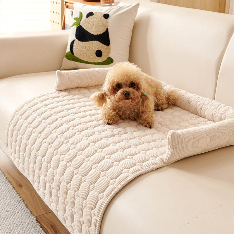 Popular cat and dog mats, pet  - Pet Supplies Application review and price