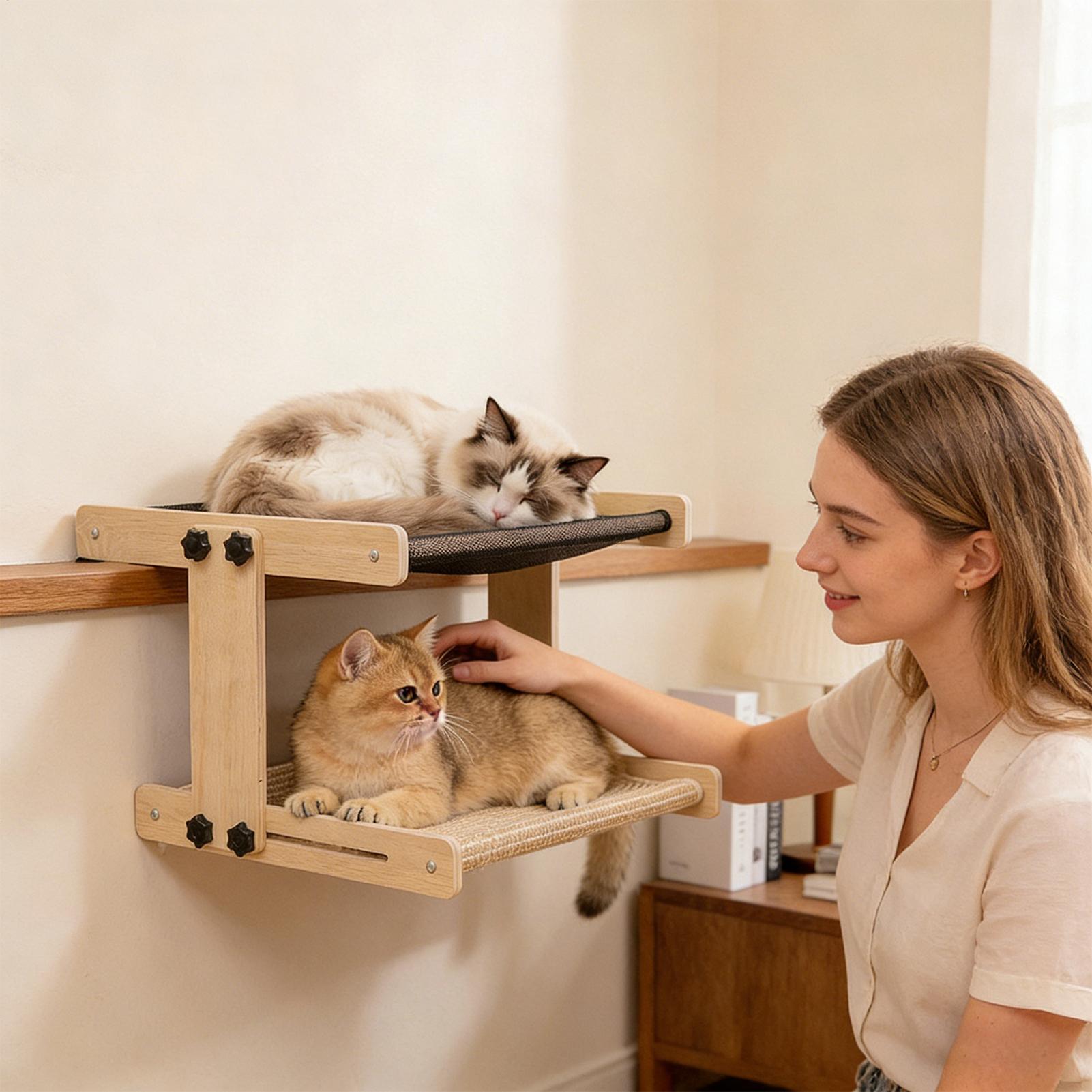Cat Window Bed Floating Hammoc - Cat Window Perch review and price