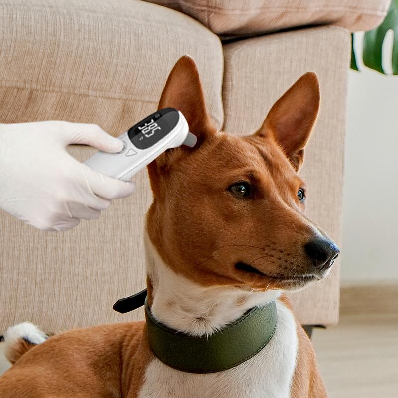 Pet Thermometers For Dogs Vet  - Pet Supplies Vet review and price