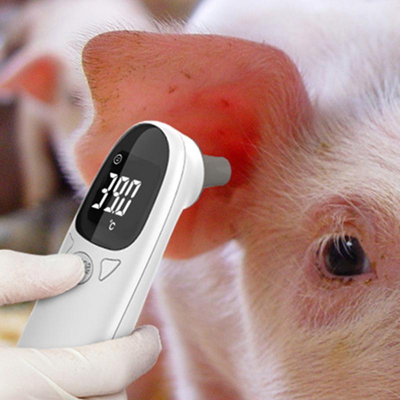 Pet Thermometers For Dogs Vet  - Pet Supplies Vet review and price