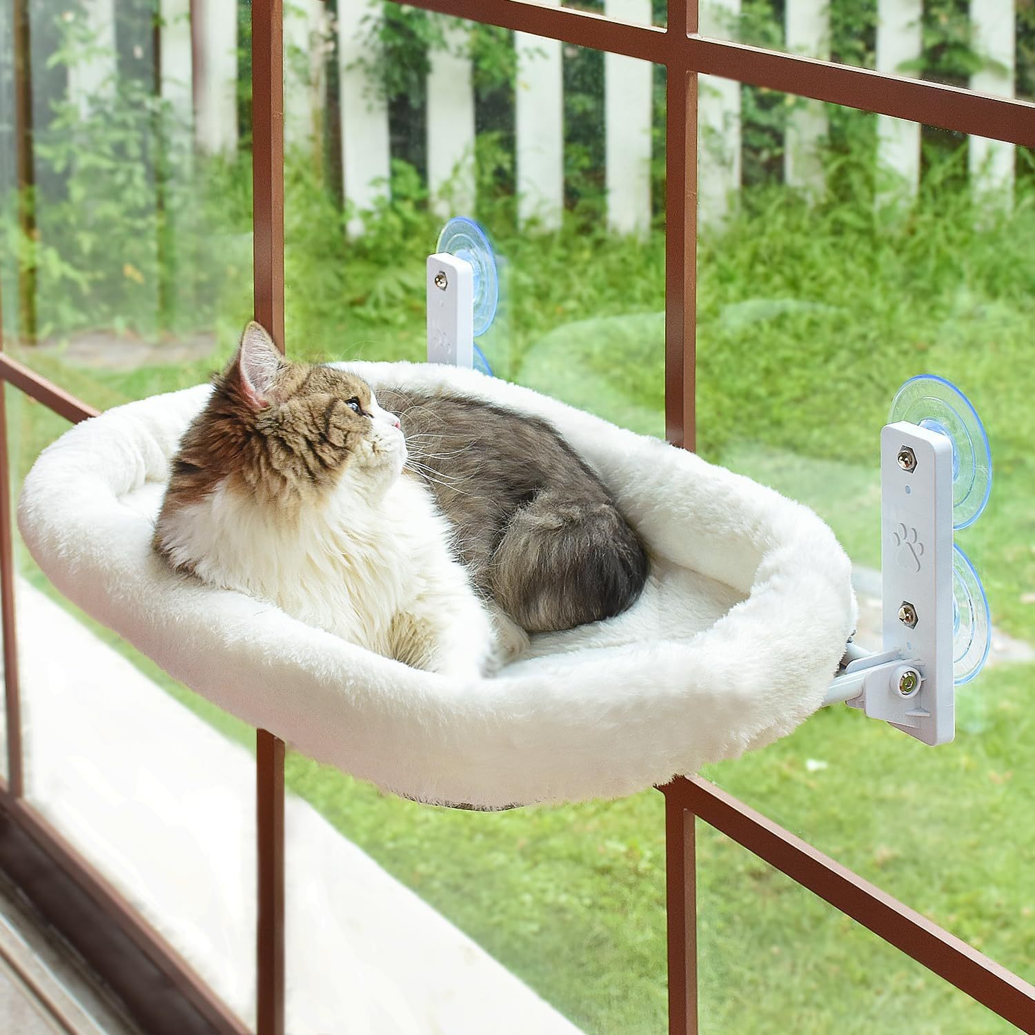 Cat Window Hammock Suction Cup - Cat Window Perch review and price