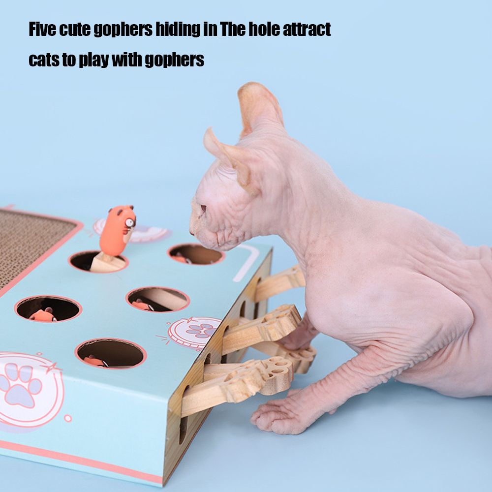 Cat Game Box Maze Interactive  - Dog Treat Puzzle Toy review and price