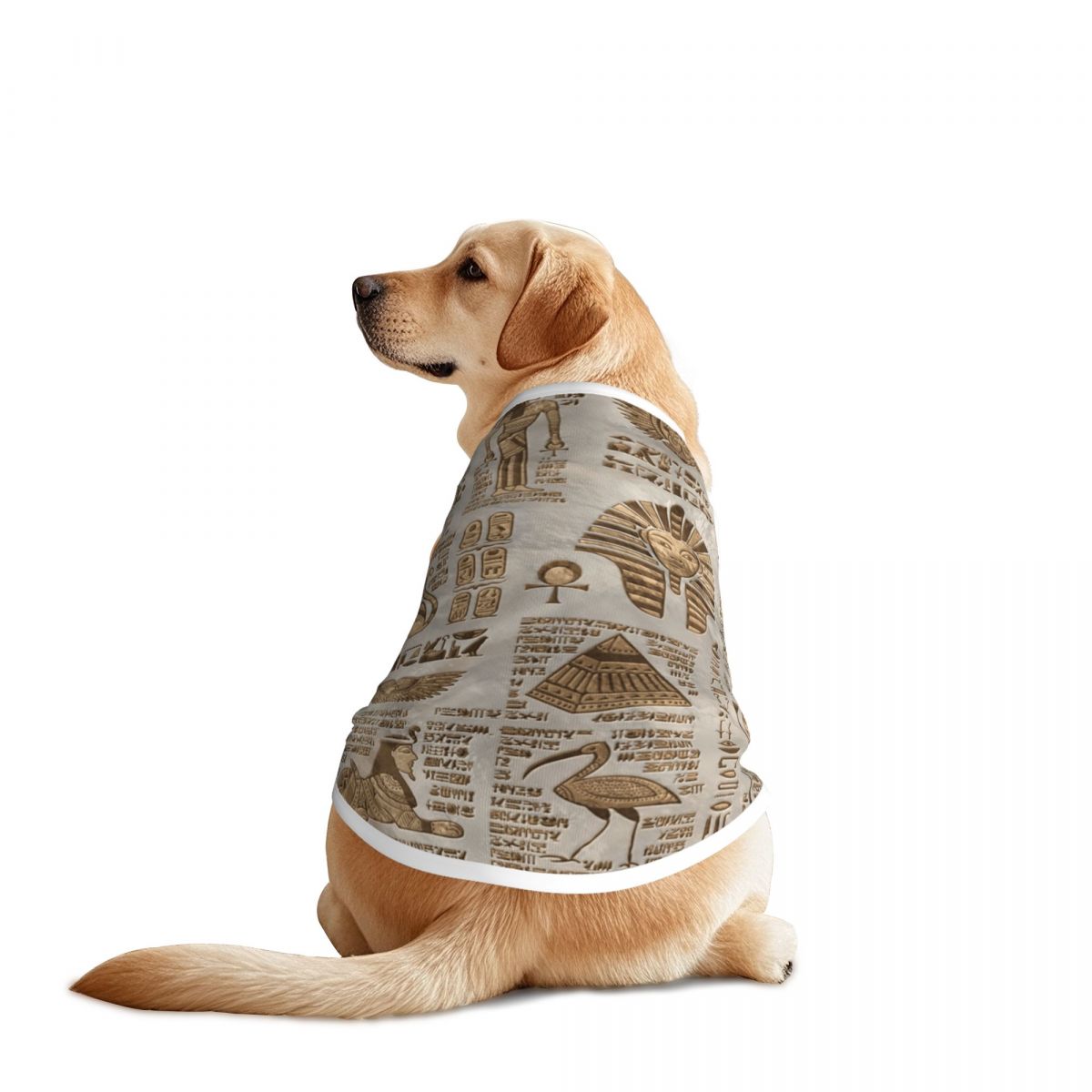 Egyptian Hieroglyphs And Deiti - Pet Supplies Egypt review and price