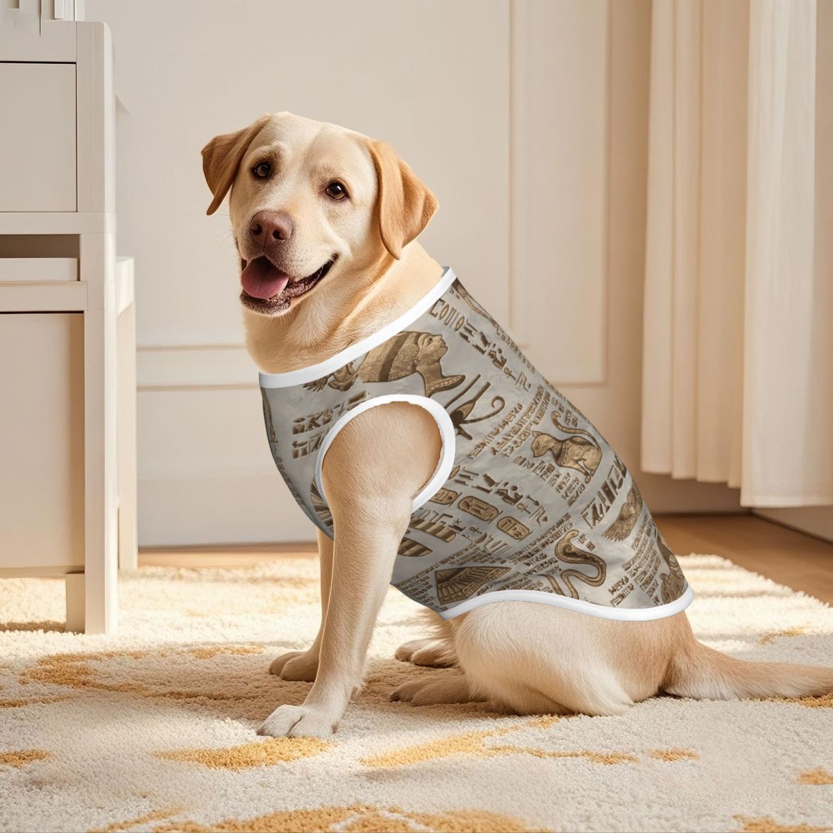Egyptian Hieroglyphs And Deiti - Pet Supplies Egypt review and price