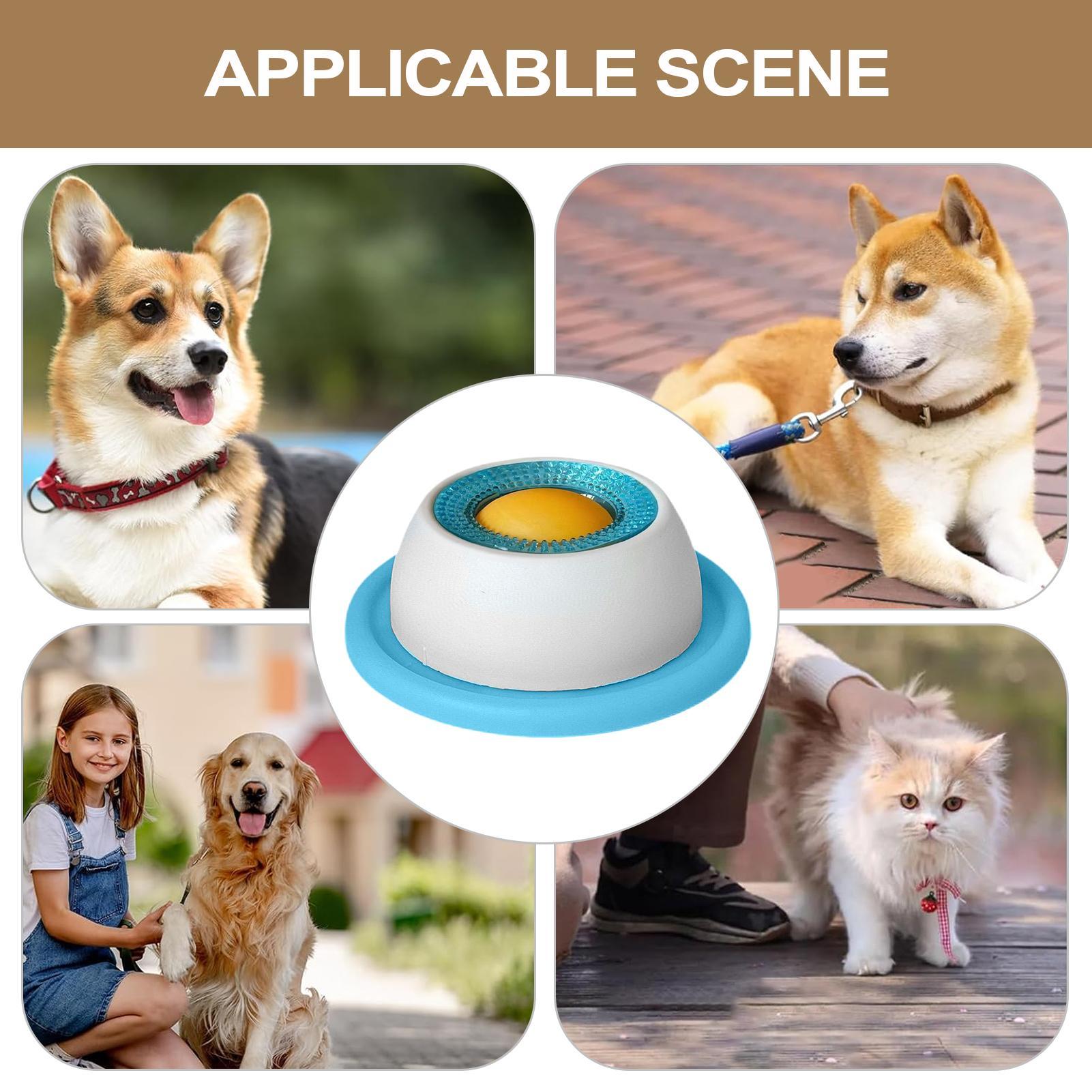 Dog Treat Toy Pet Feeding Acce - Dog Treat Puzzle Toy review and price