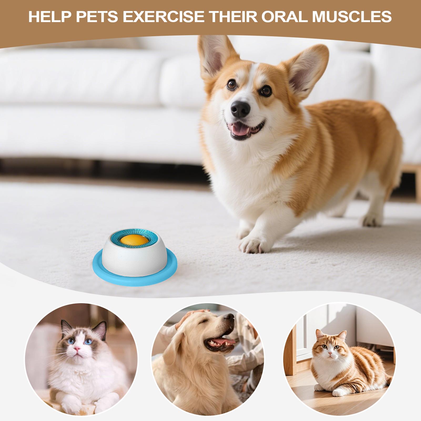 Dog Treat Toy Pet Feeding Acce - Dog Treat Puzzle Toy review and price