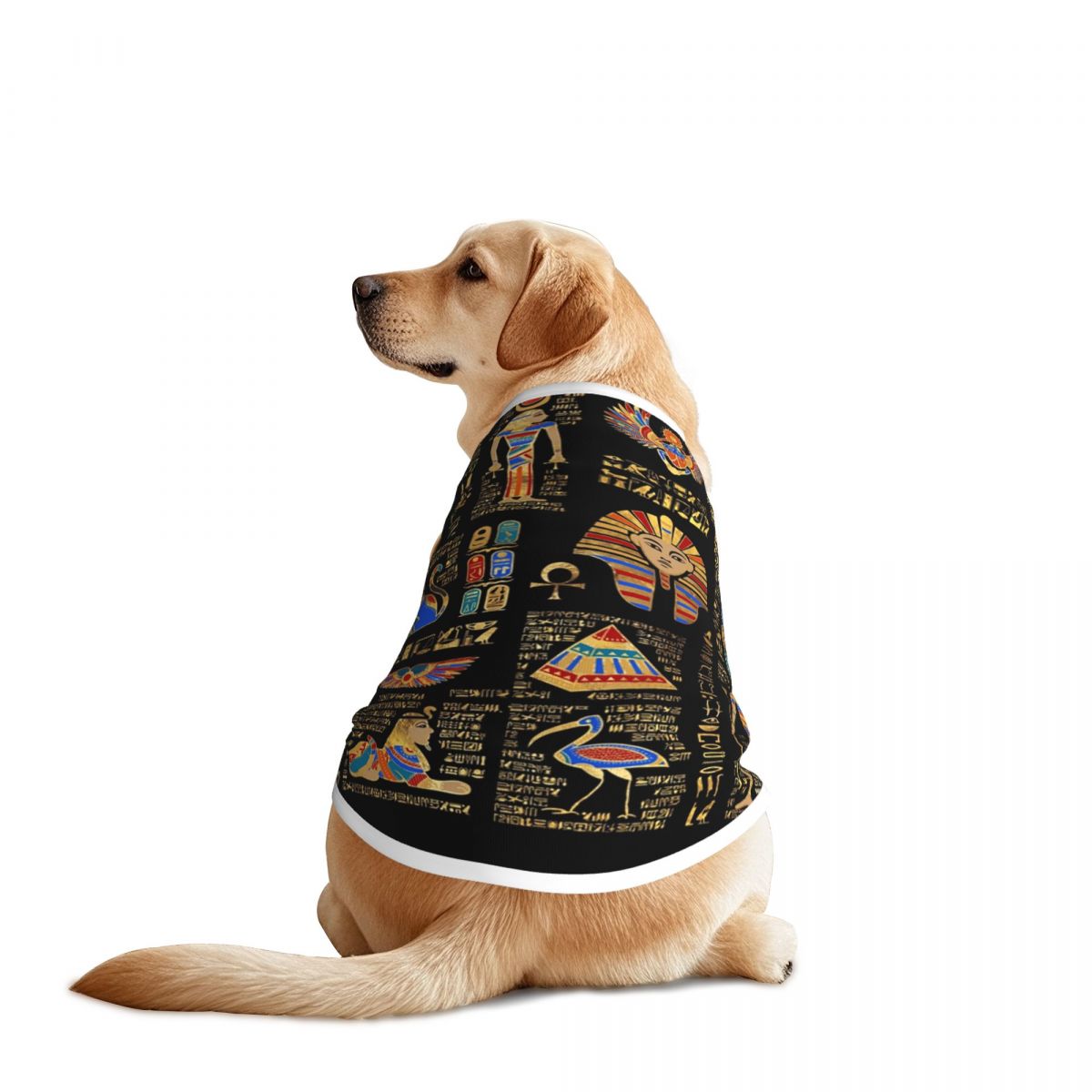 Egyptian Hieroglyphs And Deiti - Pet Supplies Egypt review and price