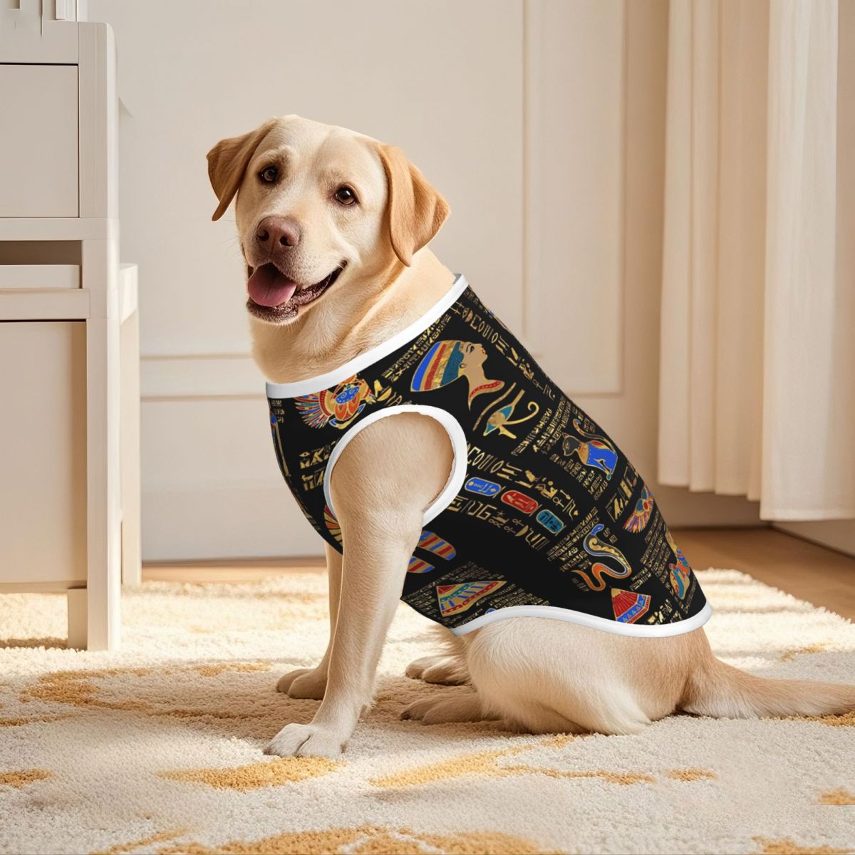 Egyptian Hieroglyphs And Deiti - Pet Supplies Egypt review and price