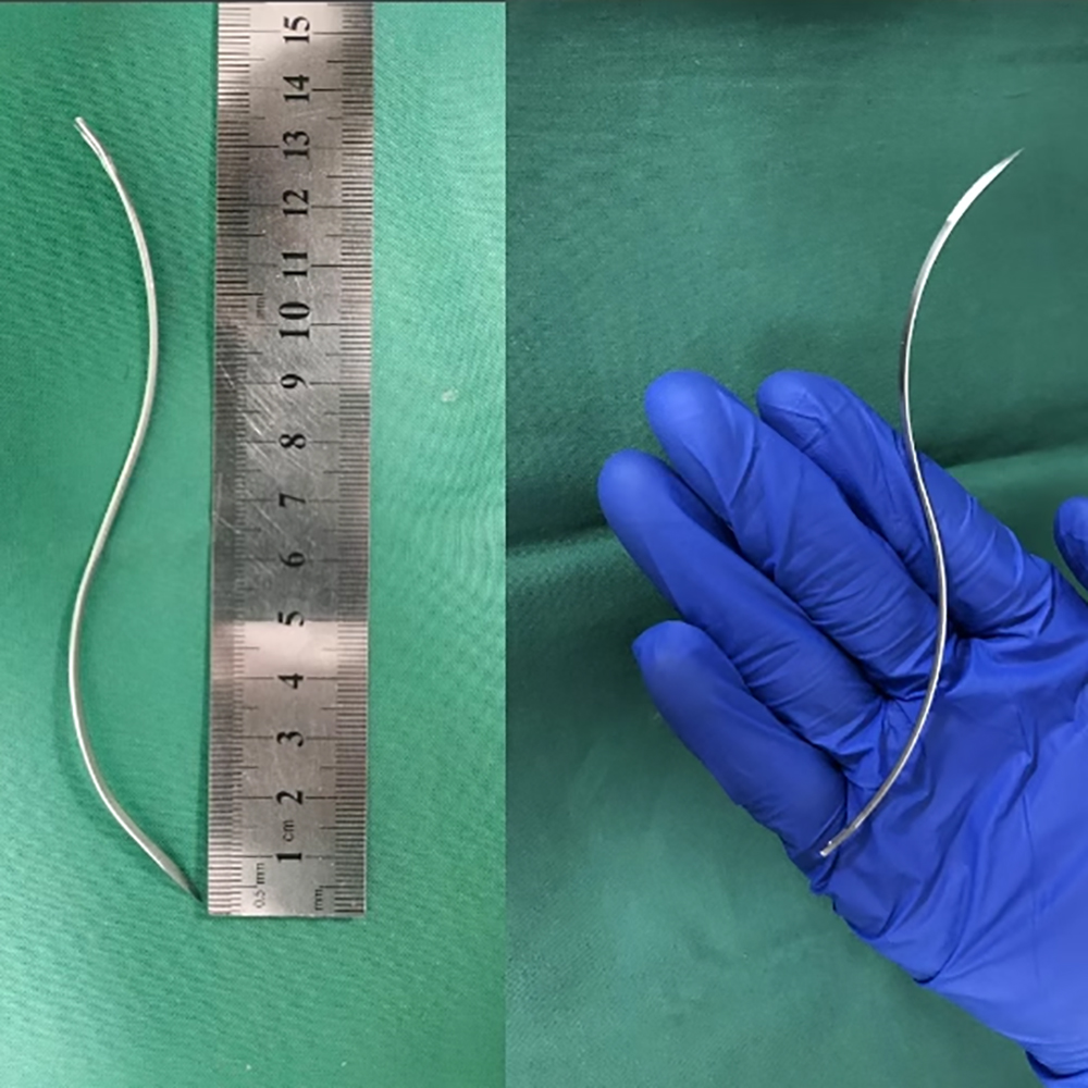 5PCS/12PCS Animal S-shaped Sut - Pet Supplies Vet review and price